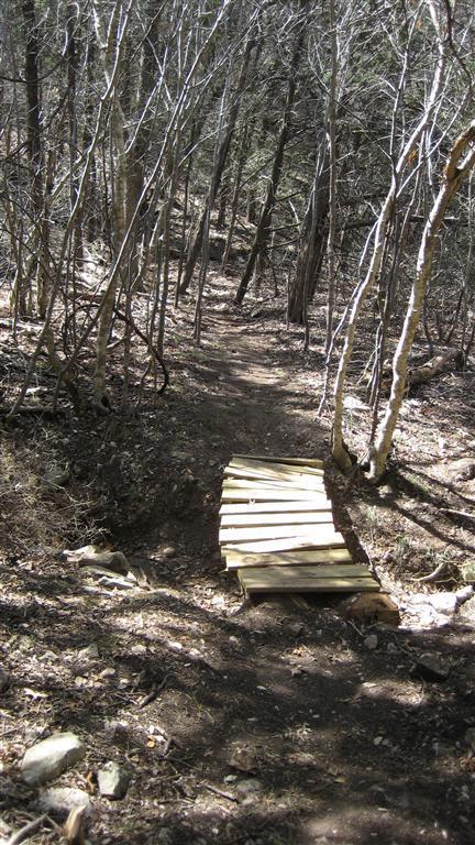 A narrow trail winding through a forest, with bare trees and scattered rocks along the path. A wooden bridge made from planks spans a small dip in the trail, providing a safe crossing. Sunlight filters through the trees, illuminating the forest floor covered in fallen leaves and twigs. Blora mountain bike trail.