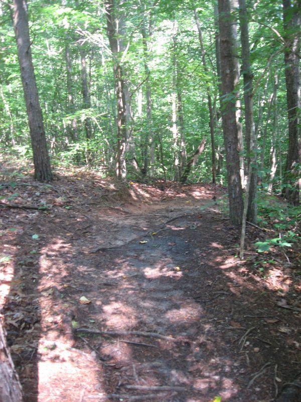 A winding dirt path through a dense forest, with tall trees and lush green foliage creating a scenic, shaded environment. Sunlight filters through the leaves, illuminating sections of the trail, which is surrounded by scattered leaves and roots. Chicopee Woods mountain bike trail.