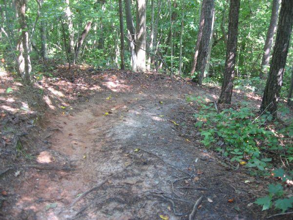 A winding dirt path through a forested area, surrounded by green trees and underbrush. The ground is uneven with exposed roots and some patches of dry soil. Sunlight filters through the leaves, creating a dappled light effect on the trail. Chicopee Woods mountain bike trail.