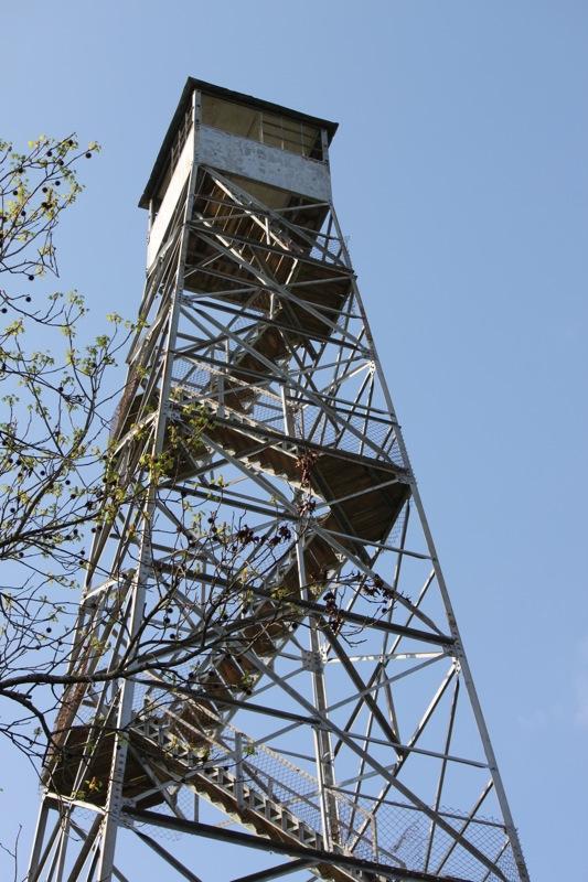 A tall metal observation tower rising against a clear blue sky, with a leafy tree partially visible in the foreground. The tower features a staircase and a small covered platform at the top. Tower Loop mountain bike trail.