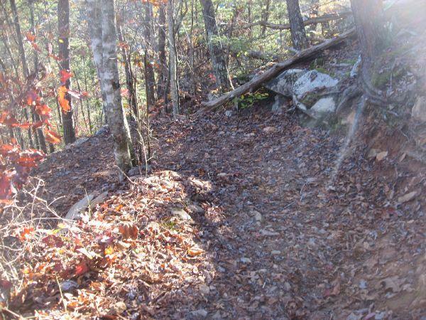 A narrow hiking trail winding through a wooded area, surrounded by trees and scattered autumn leaves on the ground. A large rock and fallen branches are visible along the path, suggesting a natural and undisturbed environment. Flint Ridge mountain bike trail.