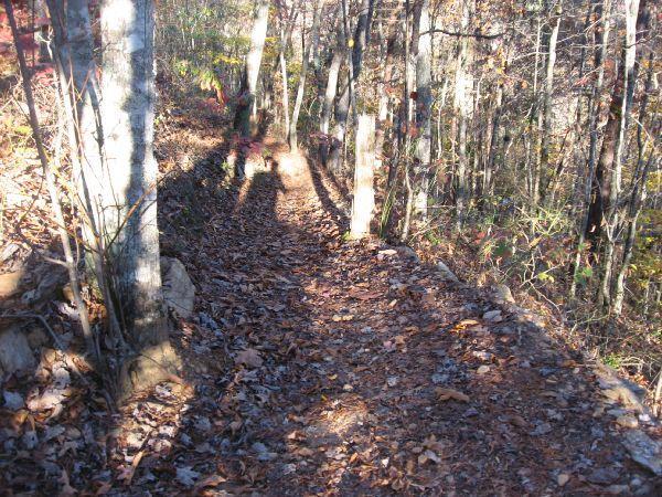 A narrow dirt trail surrounded by trees, covered in autumn leaves, casting long shadows in the late afternoon sunshine. Flint Ridge mountain bike trail.