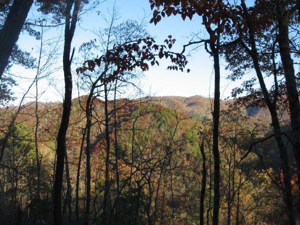 A scenic view of a wooded landscape featuring tall trees in the foreground and rolling hills in the background, showcasing vibrant autumn foliage with a clear blue sky above. Flint Ridge mountain bike trail.