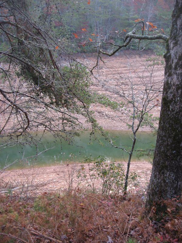 A serene landscape featuring a shallow river bordered by a rocky shore and trees. The foreground includes a large tree trunk on the right side, with branches extending over the water. The river's greenish hue reflects the surrounding nature, while the background reveals a mix of bare trees and a few colorful autumn leaves, suggesting a fall setting. Tsali Thompson Loop mountain bike trail.