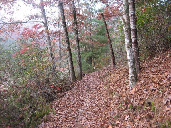 A winding dirt trail surrounded by trees with autumn foliage, including red and orange leaves, on either side. The ground is covered with fallen leaves, and the path leads into a wooded area, with the soft light of an overcast sky illuminating the scene. Tsali Thompson Loop mountain bike trail.
