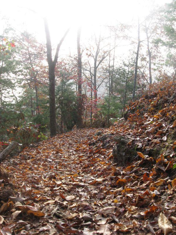 A winding path through a forest covered in autumn leaves. The trees are bare or have colorful leaves, and the scene is slightly foggy, creating a serene, tranquil atmosphere. The ground is blanketed with fallen leaves in shades of orange, yellow, and brown. Tsali Thompson Loop mountain bike trail.