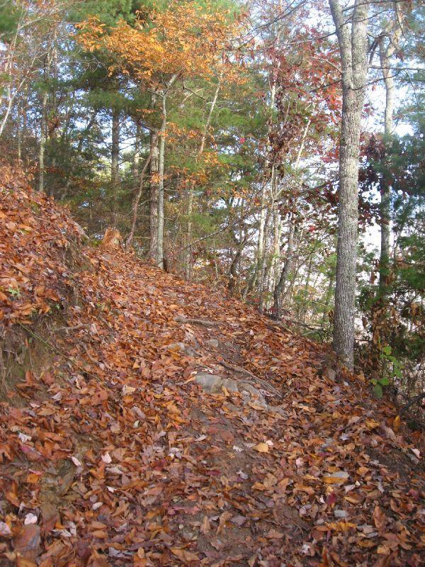 A winding dirt trail surrounded by trees, covered in colorful autumn leaves. The path slopes upward, leading into a wooded area with varying shades of green and hints of orange and red in the foliage. Tsali Thompson Loop mountain bike trail.