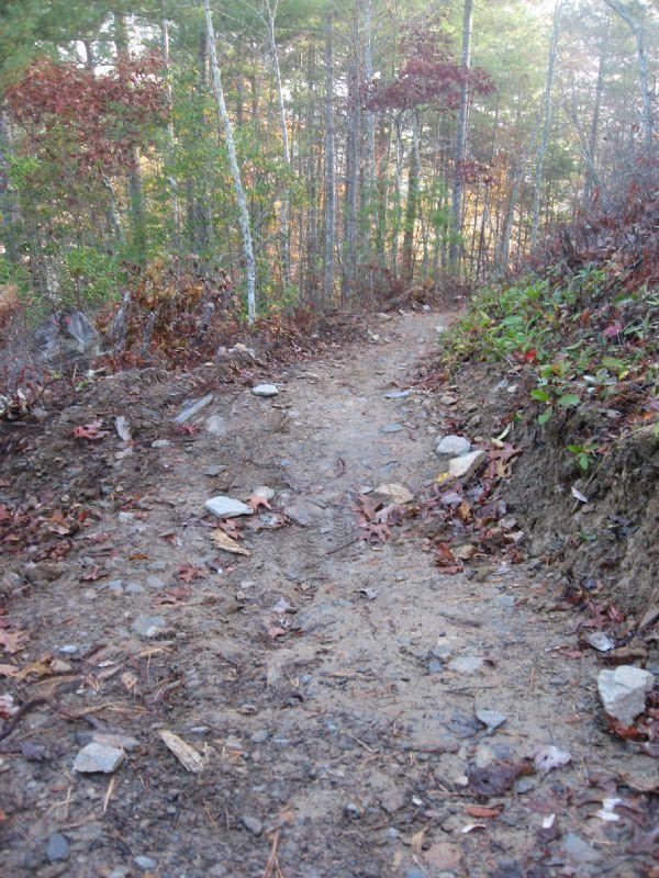 A narrow dirt path winding through a wooded area, lined with rocks and scattered leaves, under a canopy of trees displaying autumn colors. The trail appears slightly uneven, indicating a natural hiking route. Tsali Thompson Loop mountain bike trail.