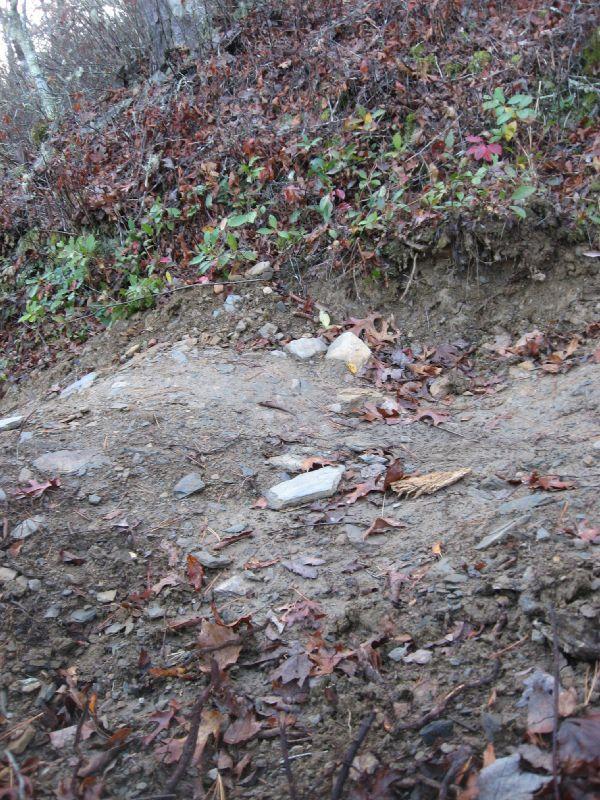 A dirt path covered with scattered rocks and dry leaves, bordered by green foliage and shrubs on a sloped terrain. Tsali Thompson Loop mountain bike trail.