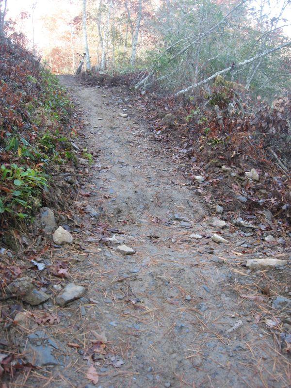 A narrow hiking trail winding up a gentle slope, surrounded by vegetation and scattered rocks. The path is covered with fallen leaves and pine needles, with trees lining both sides, indicating a natural outdoor setting. Tsali Thompson Loop mountain bike trail.