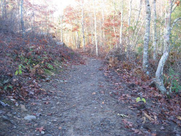A dirt path winding through a forest, surrounded by trees with autumn foliage. The ground is covered with fallen leaves, and the trail appears to lead into the distance, inviting exploration. Tsali Thompson Loop mountain bike trail.