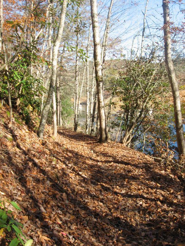 A winding path through a forest, surrounded by trees with bare branches and colorful foliage. The ground is covered with a layer of dried leaves, and a glimpse of water can be seen in the background under a clear blue sky. Tsali Thompson Loop mountain bike trail.