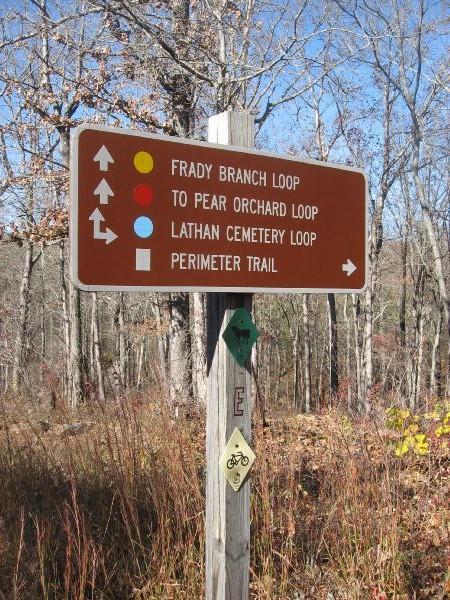 Trail sign indicating various loops and paths in a wooded area, including Frady Branch Loop, Pear Orchard Loop, Lathan Cemetery Loop, and Perimeter Trail, with corresponding directional arrows. Frady Branch mountain bike trail.