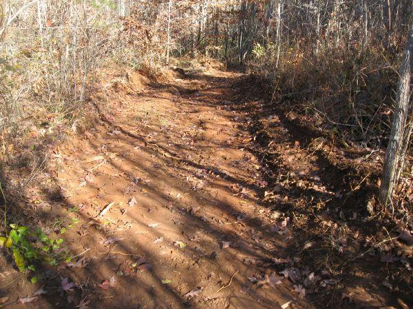 A dirt path winding through a wooded area, surrounded by trees and sparse foliage. The ground shows signs of recent use, with visible tire tracks and scattered autumn leaves. Sunlight filters through the branches, creating a play of light and shadow along the trail. Frady Branch mountain bike trail.