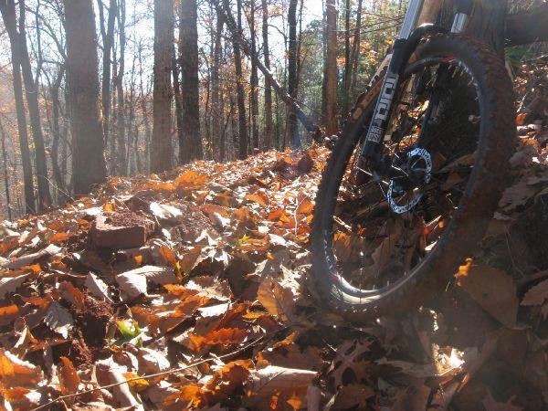 A close-up view of a mountain bike tire resting on a trail covered with colorful fall leaves. Sunlight filters through the trees in the background, highlighting the vibrant colors of the leaves and the earthy tones of the soil. Frady Branch mountain bike trail.