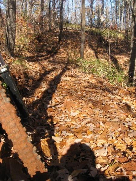 A forested area covered with fallen leaves, showing a leaf-strewn path leading up a gentle slope. In the foreground, part of a metallic object is visible, casting a shadow on the ground, while trees and underbrush are visible in the background. The scene is illuminated by natural light, creating a warm and rustic atmosphere. Frady Branch mountain bike trail.