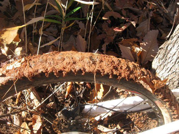 Close-up of a bicycle tire partially buried in wet soil, covered in a thick layer of mud, surrounded by dried leaves and vegetation. The tire's wheel spokes are visible, and the setting appears to be a wooded area. Frady Branch mountain bike trail.