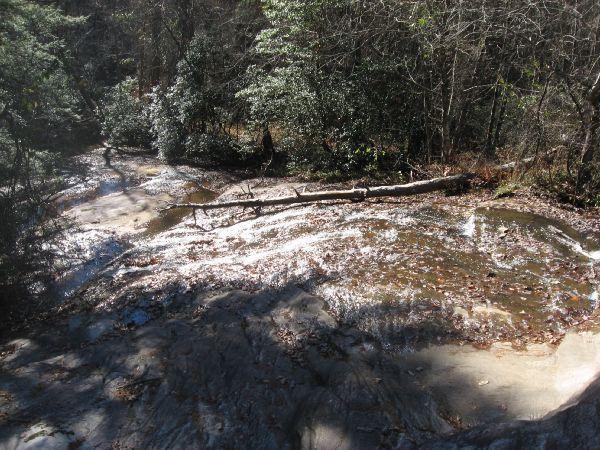 A rocky, sloped surface with patches of water and fallen leaves, surrounded by trees and greenery, indicating a natural landscape. A fallen log is visible across the scene, adding to the rustic environment. Latham Cemetary mountain bike trail.