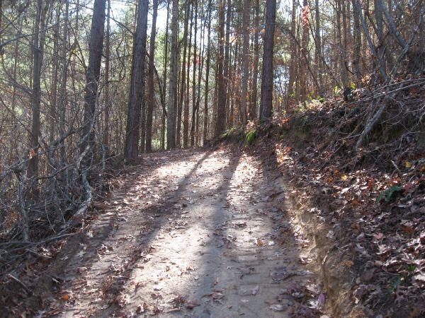 A winding dirt path through a wooded area, with tall trees lining both sides. The ground is covered with fallen leaves, and shadows from the trees stretch across the path, illuminated by sunlight filtering through the branches. Latham Cemetary mountain bike trail.