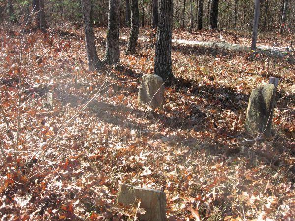 A serene woodland scene featuring several weathered grave markers partially obscured by fallen leaves. Tall trees rise in the background, and sunlight filters through, creating a tranquil atmosphere in this secluded burial site. Latham Cemetary mountain bike trail.