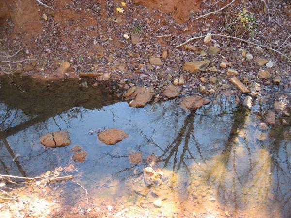 A shallow creek surrounded by reddish-brown soil and scattered rocks, reflecting nearby trees and foliage in its calm waters. Frady Branch Parking Spur / #234a mountain bike trail.
