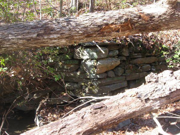 A rustic stone wall partially concealed by fallen logs and surrounded by wooded vegetation, with leaves scattered on the ground, indicating a natural setting. Frady Branch Loop mountain bike trail.