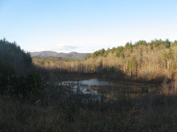 A serene landscape featuring a calm pond surrounded by a variety of trees and rolling hills. The scene is illuminated by a clear blue sky, indicating a peaceful day in nature. The pond reflects the surrounding greenery and the distant mountains, creating a tranquil atmosphere. Jones Creek Ridge Trail mountain bike trail.