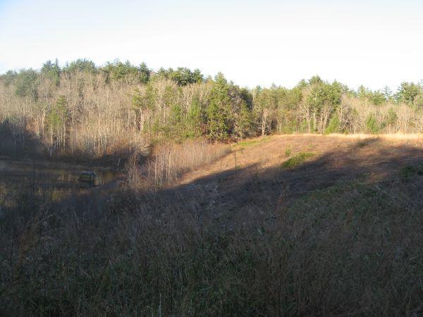 A landscape view featuring a mix of bare trees and evergreen foliage on a gently sloping hill. The foreground shows a patch of cleared land, while a body of water can be seen in the middle ground, reflecting the surrounding trees. The scene is illuminated by soft natural light, suggesting early morning or late afternoon. Jones Creek Ridge Trail mountain bike trail.