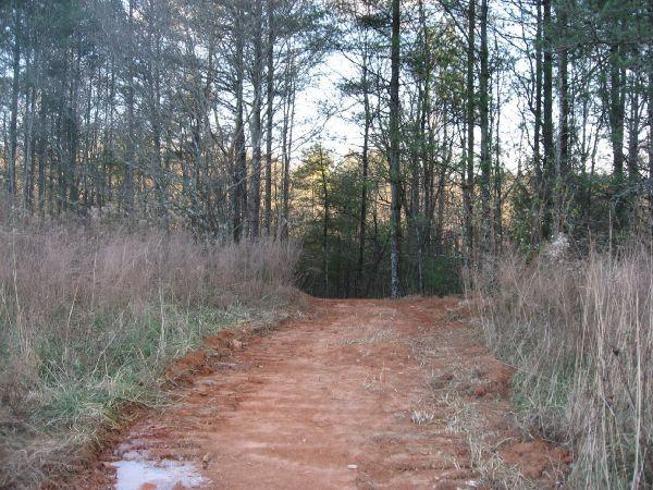 A dirt path winding through a forest, bordered by tall grass and trees. The scene captures the natural beauty of the landscape, with a clear view of the trees ahead. The ground appears reddish-brown, indicating recent activity or rainfall. Jones Creek Ridge Trail mountain bike trail.