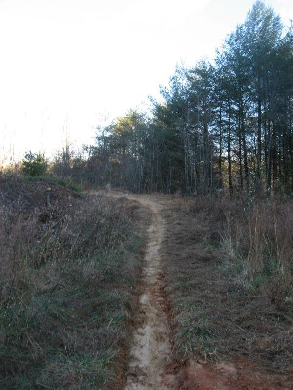 A narrow dirt path winding through a wooded area, surrounded by tall trees and sparse underbrush. The sunlight filters through the branches, illuminating the trail that leads into the distance. Jones Creek Ridge Trail mountain bike trail.