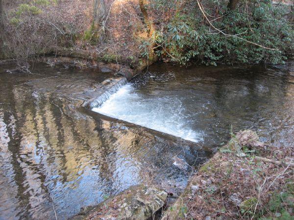 A tranquil stream flows gently over a low dam, surrounded by lush greenery and trees. The water cascades smoothly, creating a small whitewater effect as it tumbles over the edge. The scene is serene, highlighting the natural beauty of the landscape in a peaceful setting. Jones Creek Ridge Trail mountain bike trail.