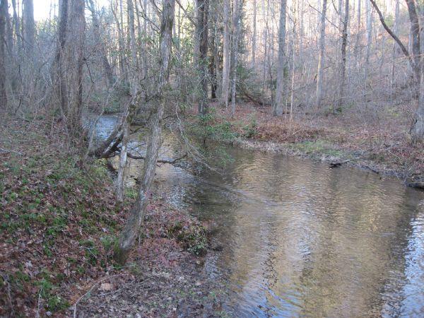 A tranquil scene of a winding stream surrounded by bare trees and underbrush in a wooded area. The water reflects the sunlight, creating a serene atmosphere in a natural setting. Jones Creek Ridge Trail mountain bike trail.
