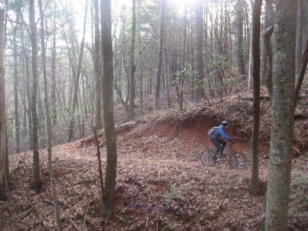 A mountain biker rides along a dirt trail through a wooded area, surrounded by trees and fallen leaves. The scene is illuminated by soft sunlight filtering through the canopy. Pinhoti Trail: P3 mountain bike trail.