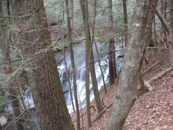 A serene forest scene featuring a small waterfall partially obscured by pine and hardwood trees. The ground is covered with fallen leaves, and the water cascades over smooth rocks, surrounded by lush greenery. The Bee Trail mountain bike trail.