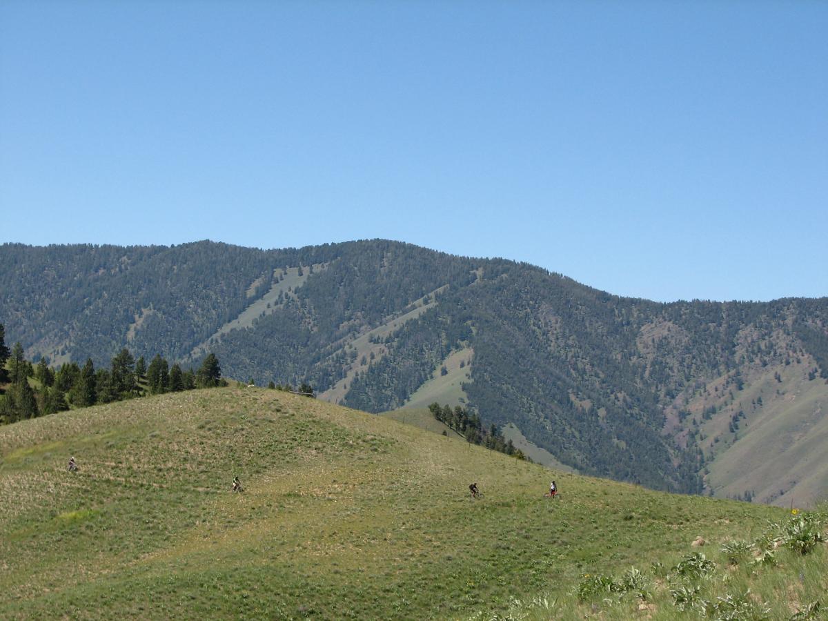 A scenic view of rolling green hills with a backdrop of tall mountains under a clear blue sky. Two figures can be seen walking or biking along the hillside, surrounded by sparse vegetation and patches of trees. Wagonhammer Trail System mountain bike trail.
