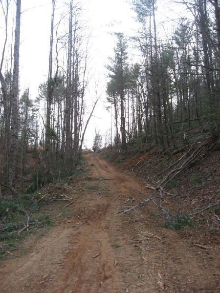 A narrow dirt path winding through a forest, flanked by tall, leafless trees and some greenery along the edges. The sky appears overcast, contributing to the serene and slightly rugged atmosphere of the woodland scene. Montgomery Creek Trail mountain bike trail.
