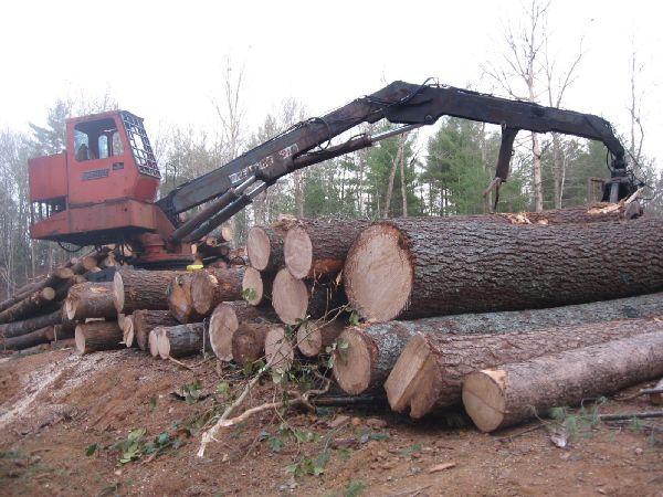A logging machine positioned on a stack of cut tree logs in a wooded area, with its arm extended to handle the logs. The background features trees and a clear sky, suggesting an active logging site. Montgomery Creek Trail mountain bike trail.