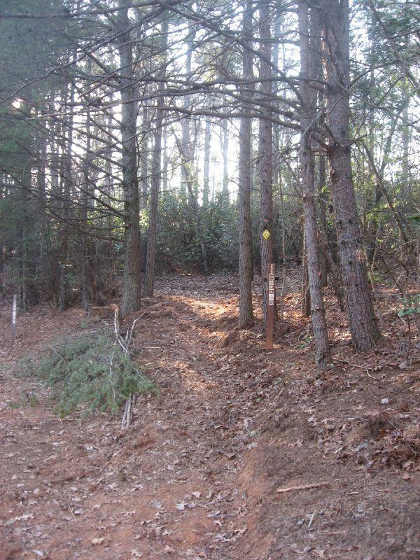 A forested area featuring a dirt path leading into the woods, bordered by tall trees and scattered dried leaves. A trail marker is visible on the right, indicating the path's direction. Sunlight filters through the branches, creating a serene, inviting atmosphere. Bull Mountain / 223 mountain bike trail.