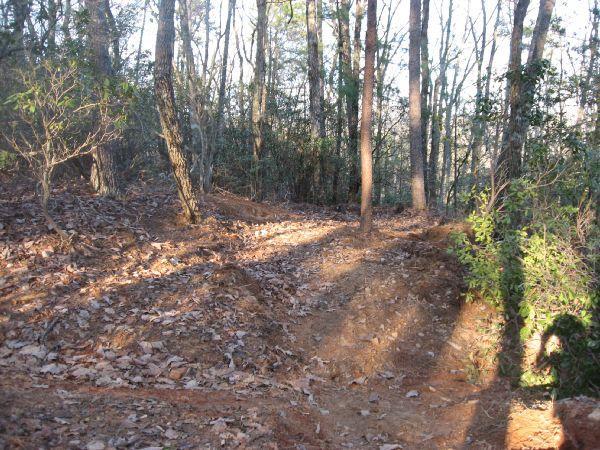 A winding dirt trail in a forest, surrounded by tall trees and underbrush. The ground is covered with fallen leaves, and soft sunlight casts shadows on the path. Bull Mountain / 223 mountain bike trail.