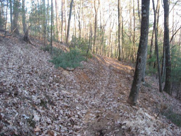 A narrow dirt path meanders through a wooded area, surrounded by trees and scattered autumn leaves on the ground. Sunlight filters through the branches, illuminating the trail and highlighting the earthy tones of the landscape. Bull Mountain / 223 mountain bike trail.