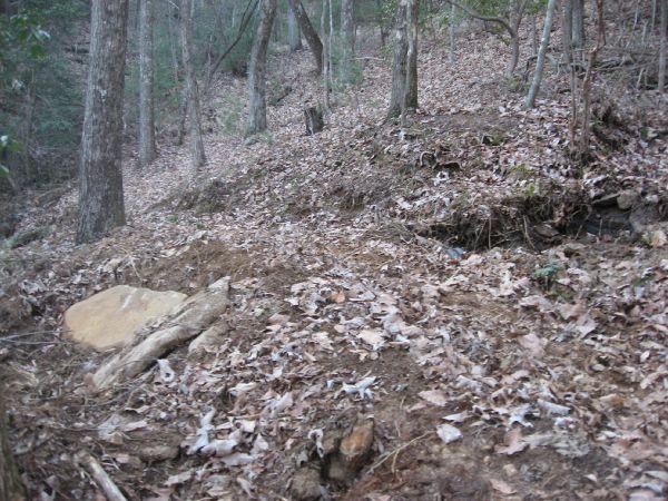 A forested area with scattered dry leaves covering the ground, alongside a rocky surface. Several trees are visible in the background, and the terrain appears uneven with a slope leading upwards. Bull Mountain / 223 mountain bike trail.