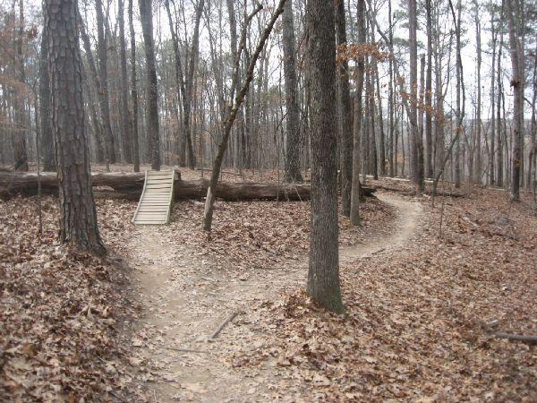 A forest trail with two paths diverging; one path leads to a wooden bridge over a fallen log, while the other winds deeper into the woods. The ground is covered with fallen leaves, and tall trees surround the area. The atmosphere is calm and natural. Big Creek mountain bike trail.