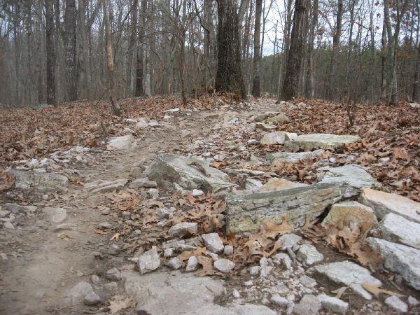 A rocky hiking trail winding through a wooded area, with scattered leaves and bare trees in the background. Big Creek mountain bike trail.