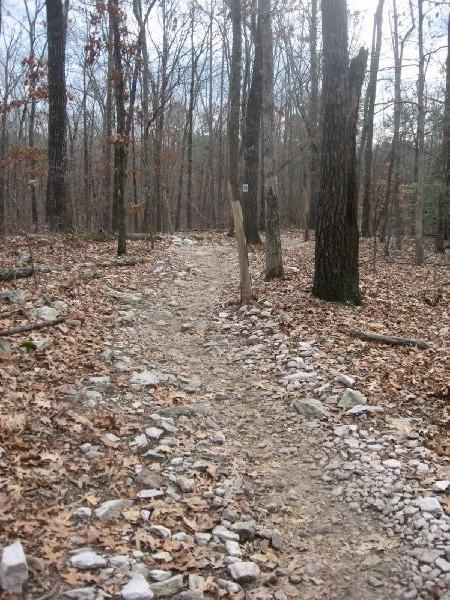 A narrow, winding trail through a wooded area during late fall. The path is lined with scattered rocks and covered with dried leaves, while bare trees create an open canopy overhead. A wooden post with a trail marker stands along the path. The scene is serene and natural, suggesting an outdoor hiking route. Big Creek mountain bike trail.