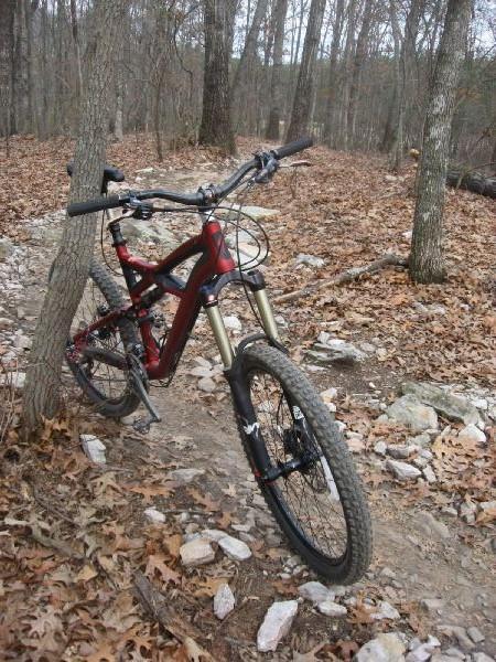 Mountain bike leaning against a tree on a rocky trail surrounded by autumn leaves and trees. Big Creek mountain bike trail.