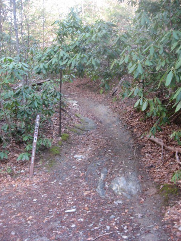 A narrow, winding dirt trail surrounded by lush green foliage and scattered rocks, leading into a wooded area. A trail marker is visible to the side, partially obscured by the vegetation. Black Mountain mountain bike trail.