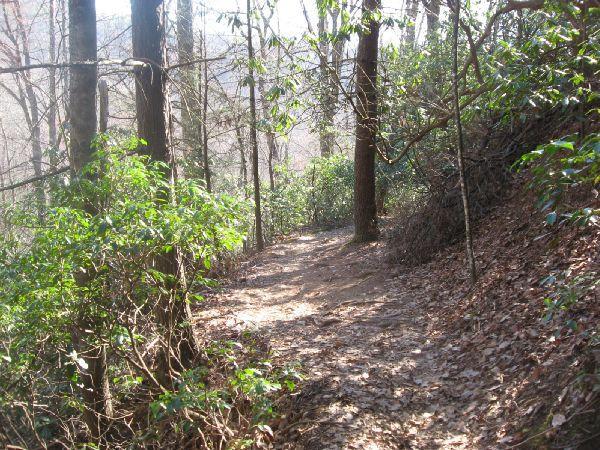 A narrow, winding dirt path through a wooded area, surrounded by tall trees and lush green foliage. Sunlight filters through the branches, illuminating the path and the scattered leaves on the ground. Black Mountain mountain bike trail.
