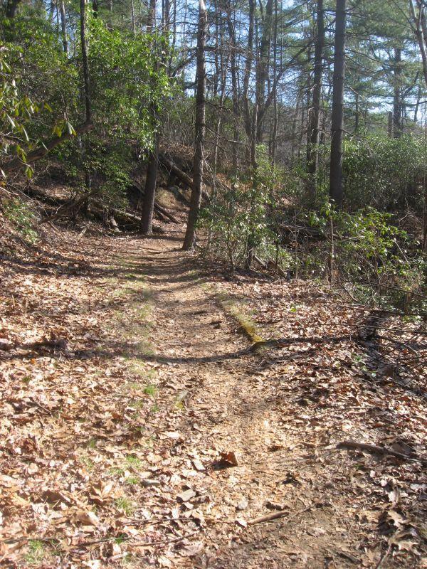 A narrow dirt trail winding through a wooded area, surrounded by trees and dense underbrush. The ground is covered with fallen leaves and small rocks, and sunlight filters through the canopy above, creating a serene and natural atmosphere. Black Mountain mountain bike trail.