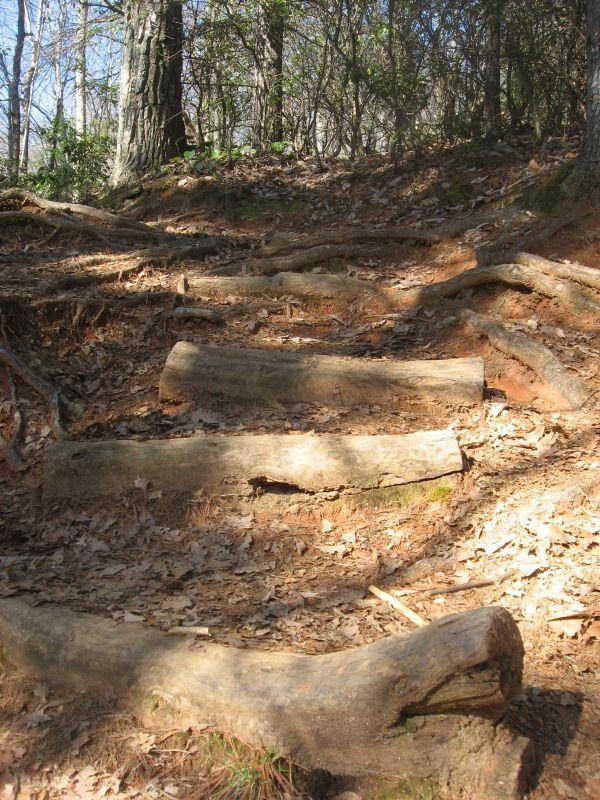 A winding dirt trail with wooden steps partially covered in dried leaves, surrounded by trees and underbrush in a forested area. Black Mountain mountain bike trail.