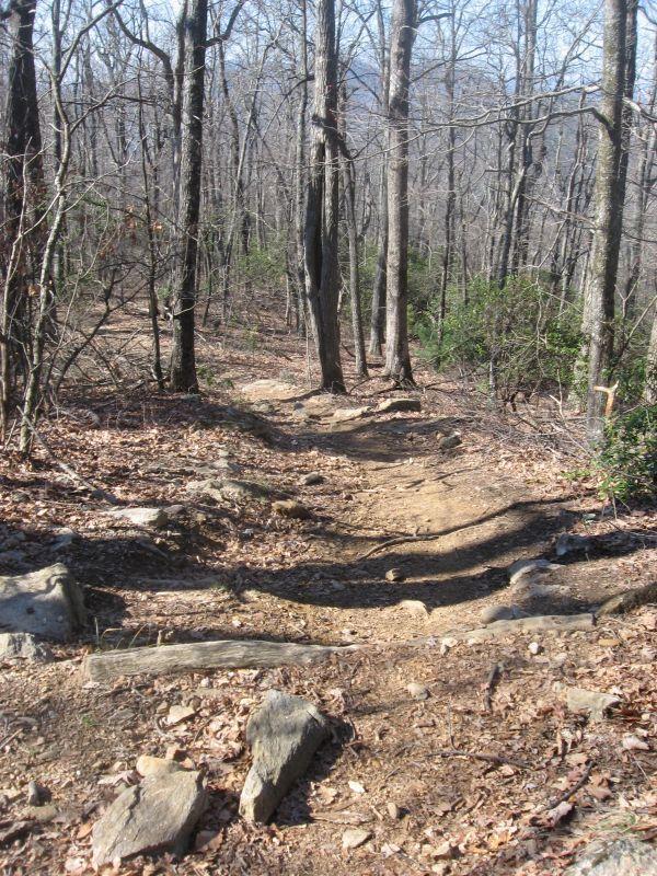 A dirt hiking trail winding down through a wooded area with bare trees and scattered rocks on the ground. The surrounding landscape shows patches of green shrubbery and a carpet of fallen leaves. Black Mountain mountain bike trail.